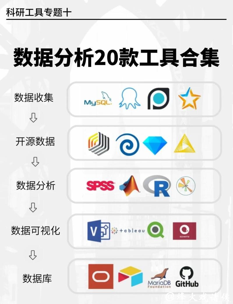 世界杯竞猜平台的赛事数据分析工具